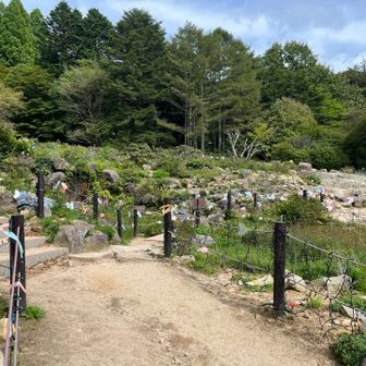 見ようとしなければ見えないものってあるのですね
