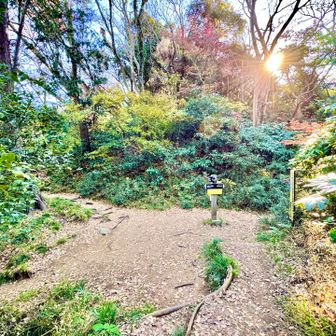 ↖️左上へ天園コース　今泉6丁目分岐

右　　:  覚園寺コース　永福寺跡へ
左下り:  今泉6丁目公園　鎌倉湖へ
背中側:  勝上嶽・建長寺・六国見山へ