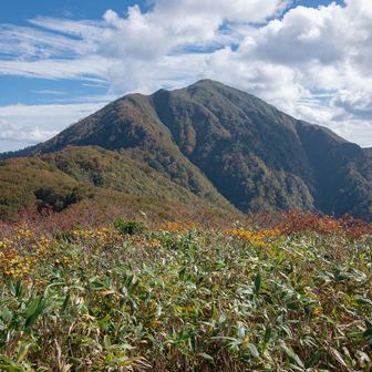 立派な山だ