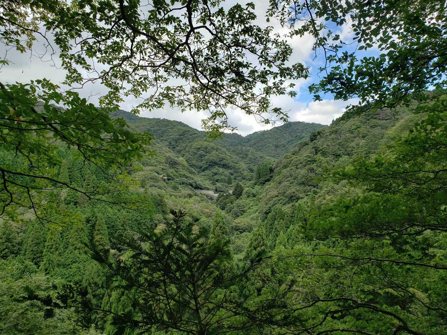ここがお気に入り😏