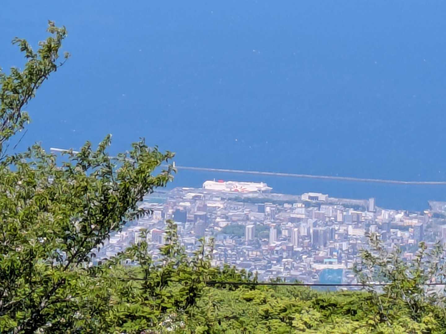 フェリー　サンフラワーが別府港に停泊しています。