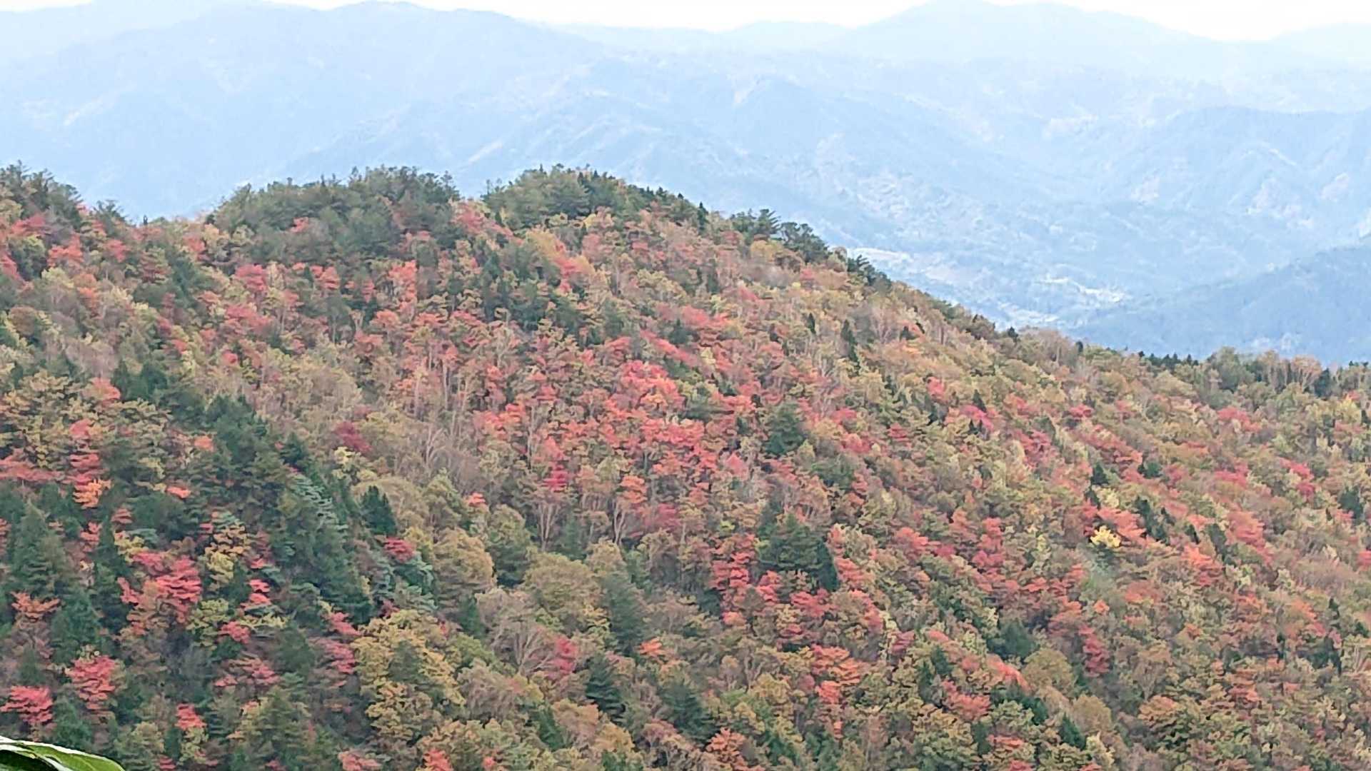 白草山登山口-白草山 周回コースの写真