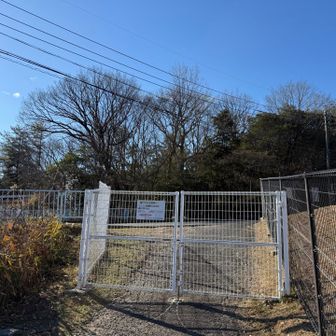 またまたゲート