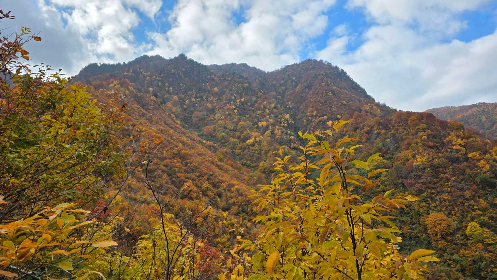 金城山