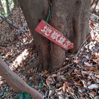 ⚠️地獄鎌尾根⚠️ちょっとだけ…

※危険な目に合わないよう下調べ済⚠️