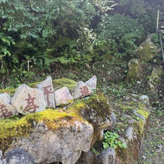 穂高平小屋までの近道口　オススメ