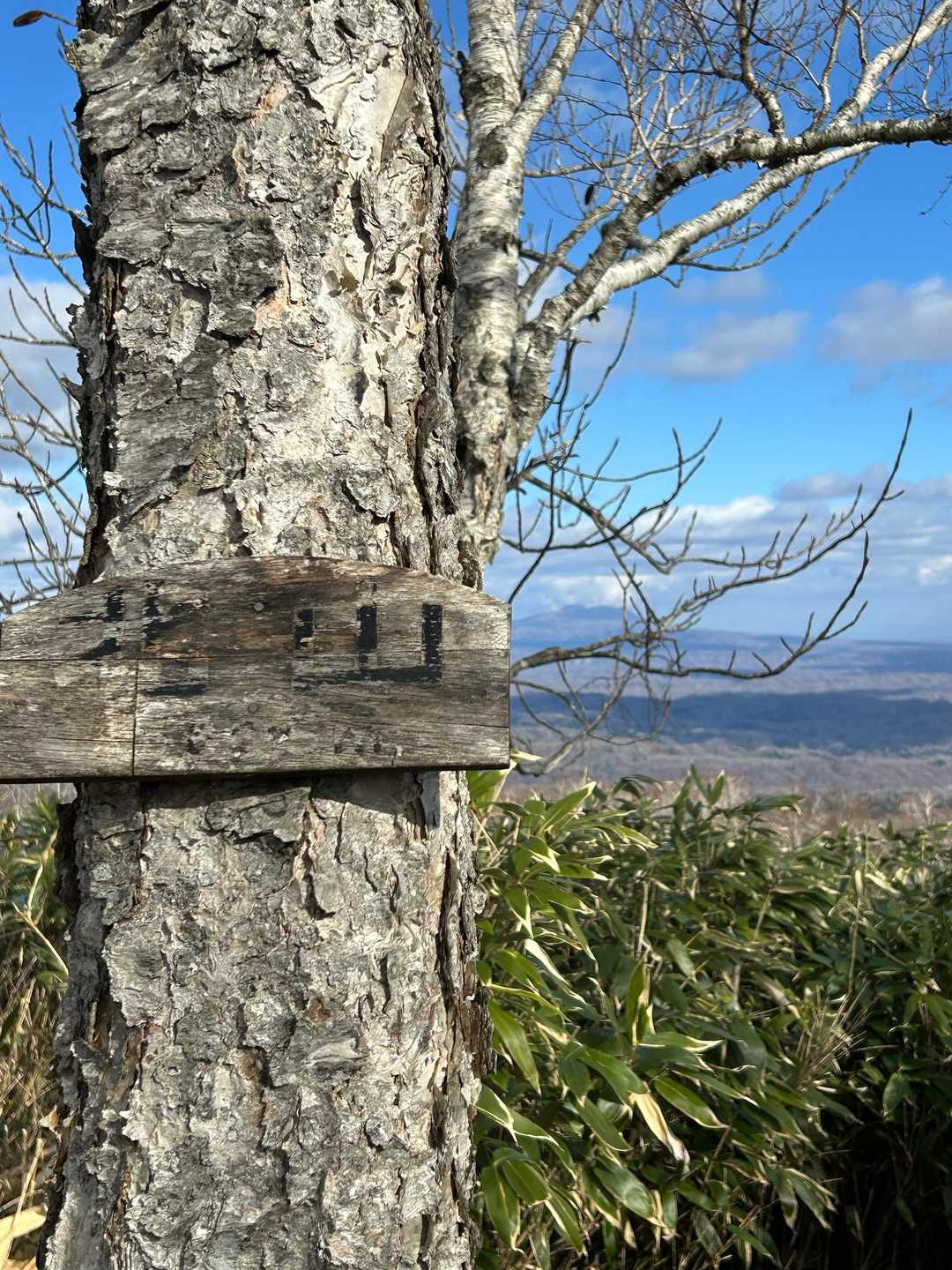 そんなこんなで北山　到着です。
遠くに樽前山がくっきり見えていい景色です