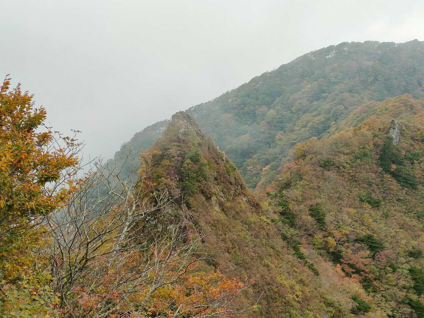 アレは登らんやろ？