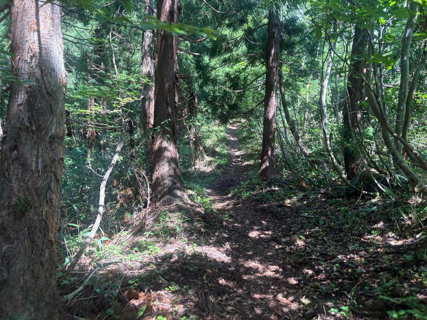 下山はラン🏃‍♂️〜