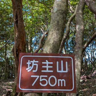 お初です(o^―^o)ﾆｺ