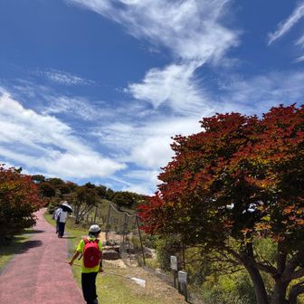 大権現までやってきました。

ここでとうふさんとはお別れ👋
今日もありがと！気をつけて帰ってねー