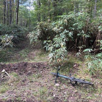 野牛山への登山口も記憶よりも広め
こんなに立派だったかと思いつつ、MTBデポして登山開始🥾