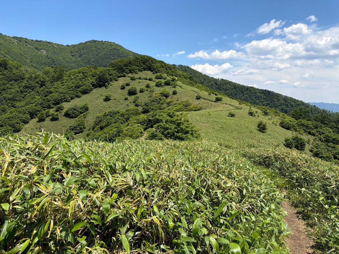 中蒜山から下蒜山間の稜線。美しい😍