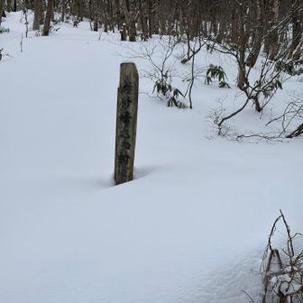 名松新道登山口
ここを左にぐっと曲がって登っていきます
すごくわかりにくい
トレースないのこんな所登る？
でもここしかないよね？と
何度も立ち止まり確認して進みました