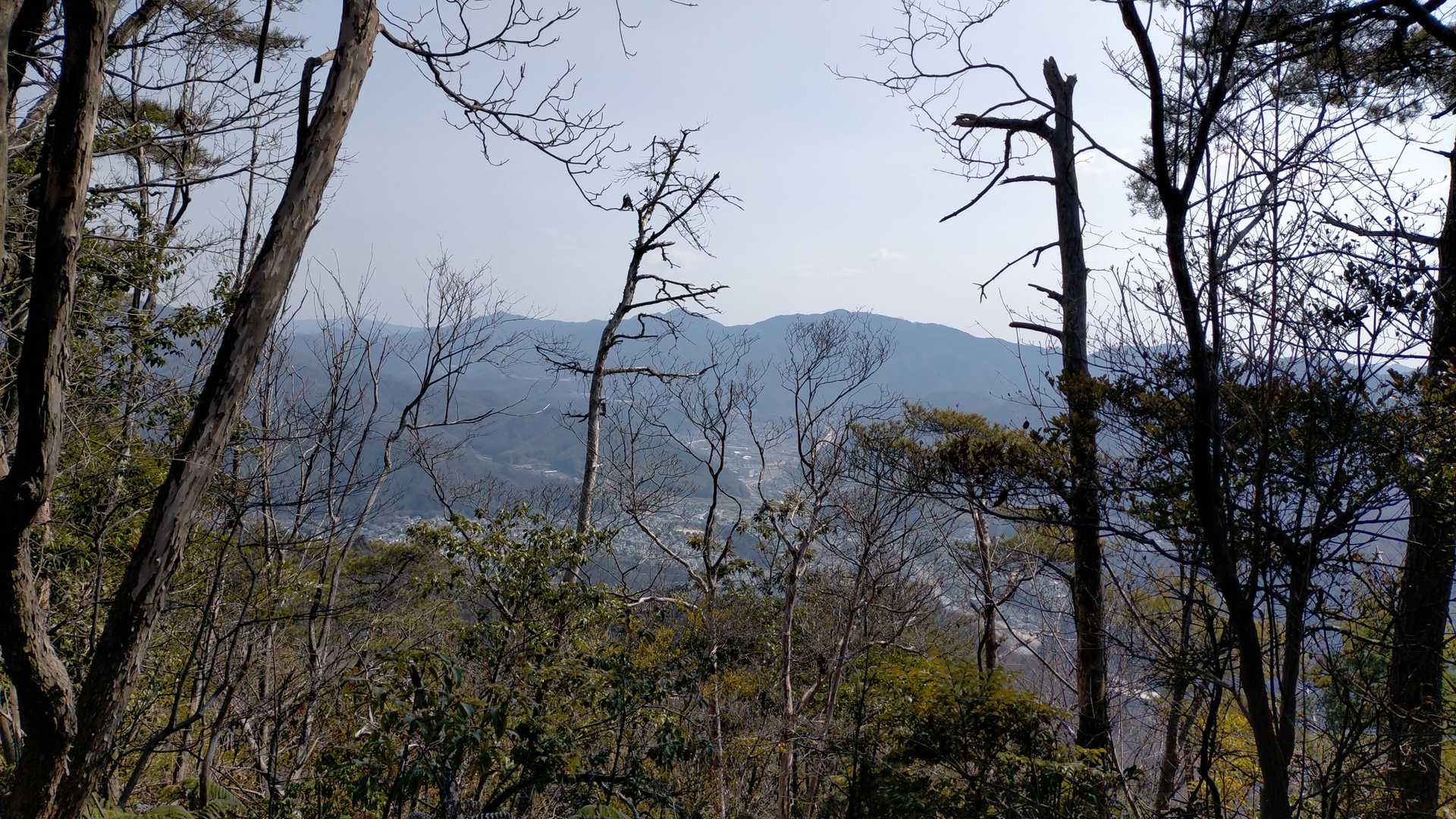 やっと景色が見えました