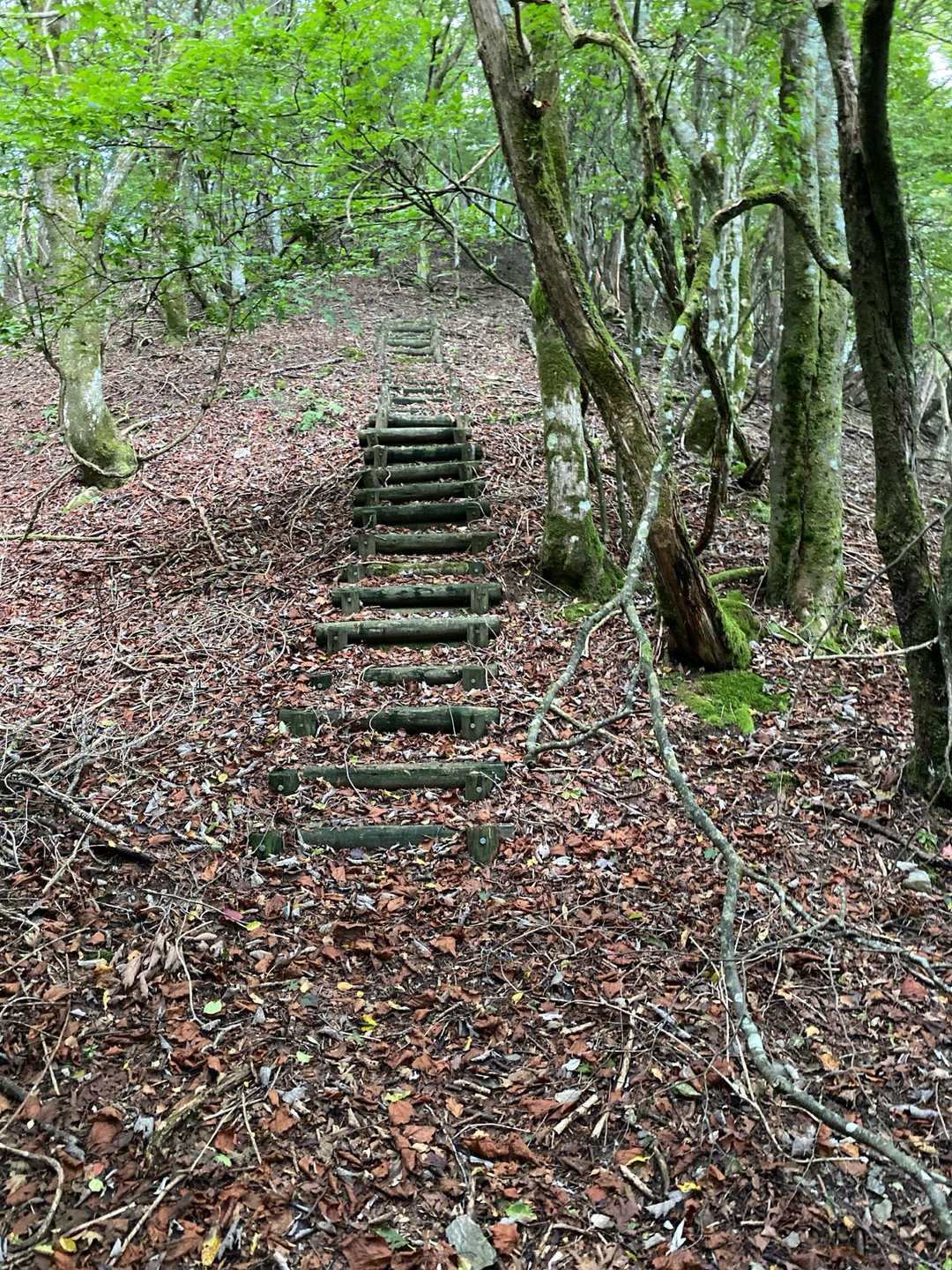 風呂塔-火打山-白滝山 周回コースの写真