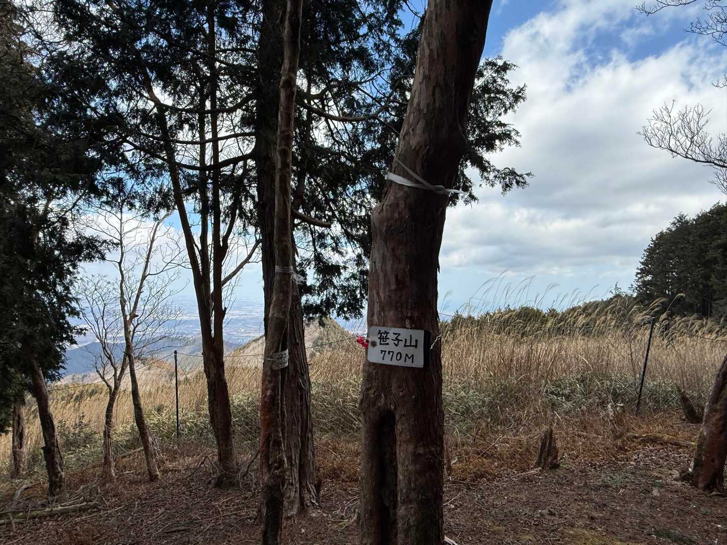 笹子山山頂、標高770m