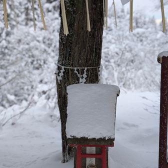 神明社にも手を合わせました
今日はここまで⛩️
では下山します