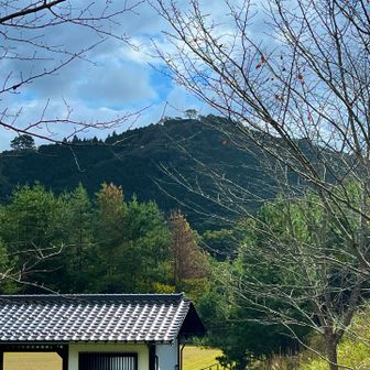 てっぺんの一本木🌲の辺りが竹田城址ですって

森繁久彌のような👓 のオジさんが教えてくれました。🙏🏼
相棒さんの言った「森繁久彌のような👓」ってあまりにも的確なので笑みがこぼれた。