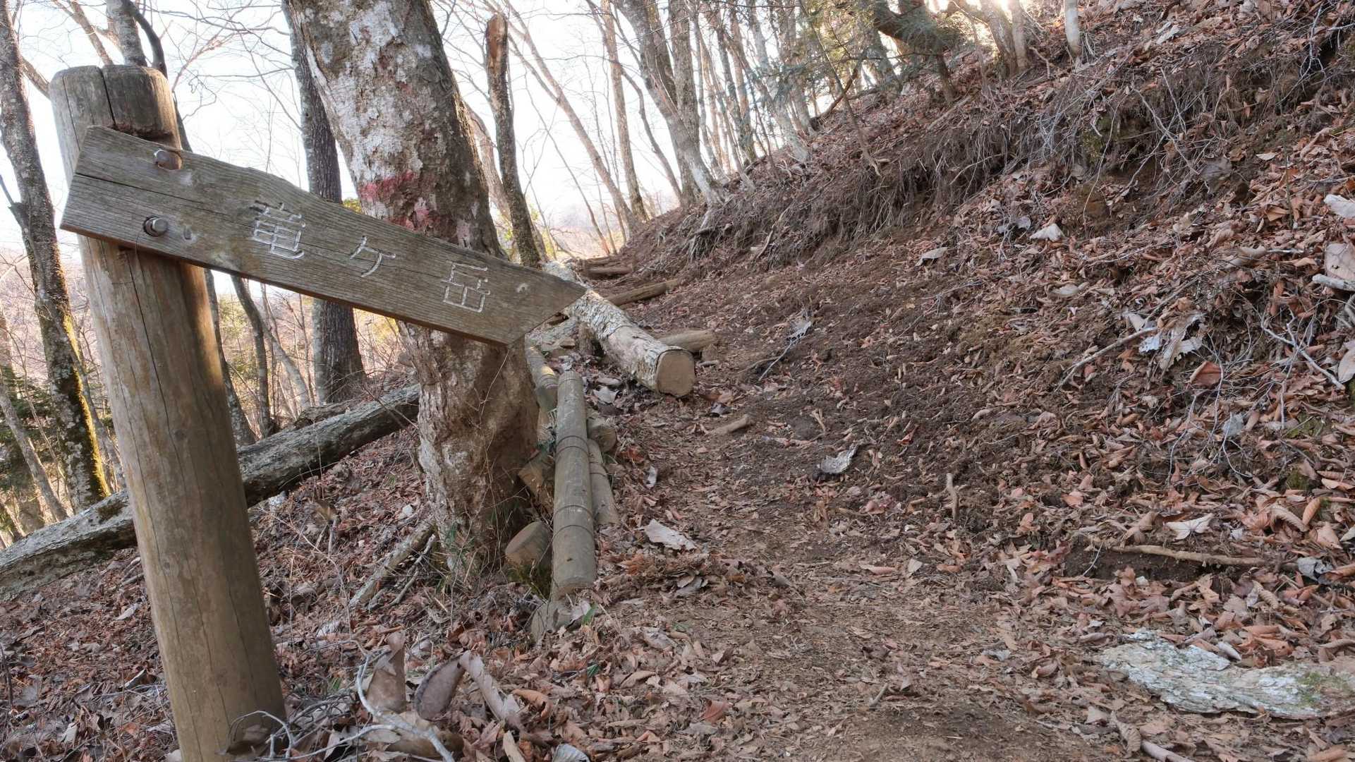 倒木がチラホラあったつづら折りを進むと