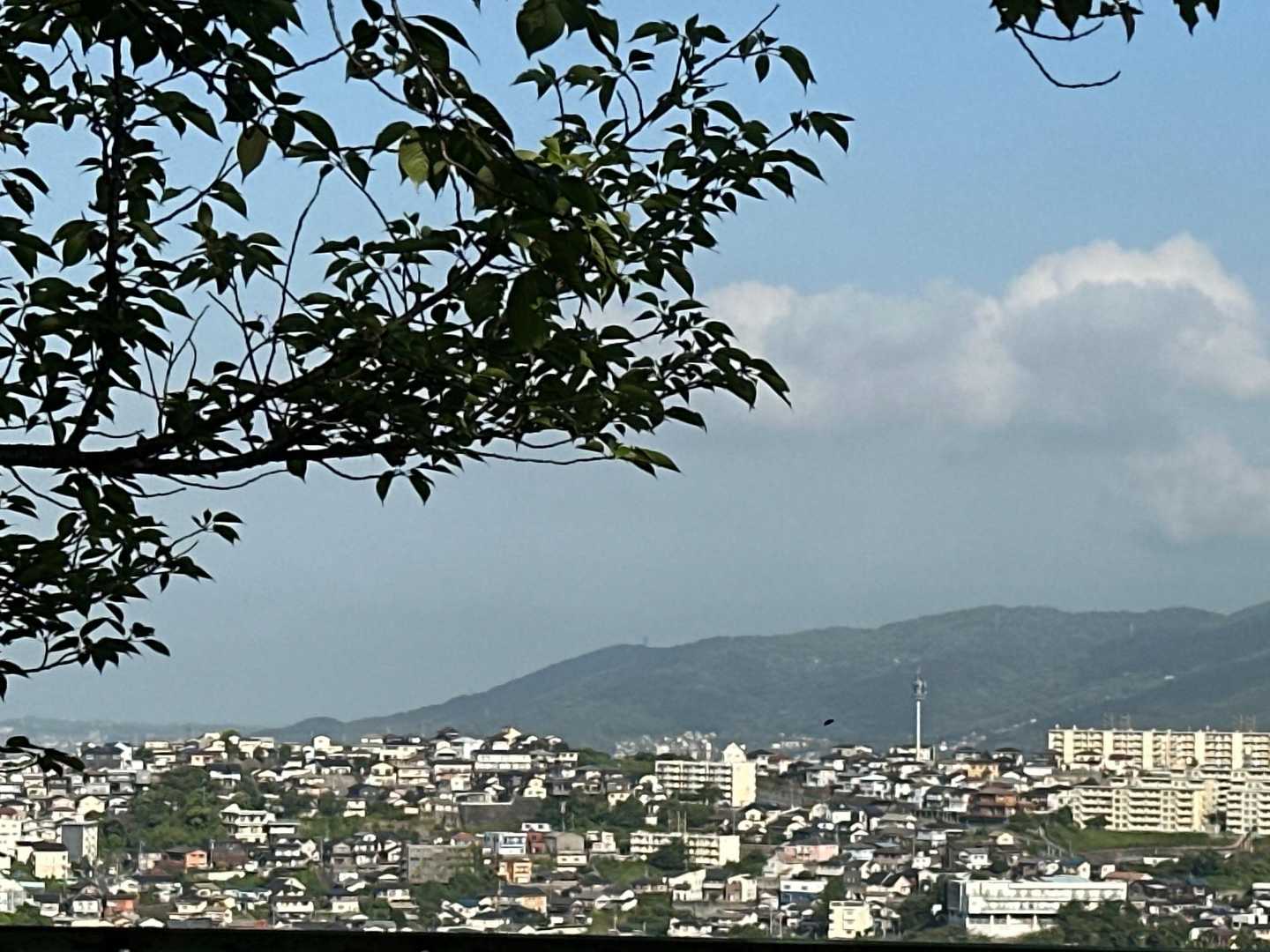 金比羅山 往復コースの写真