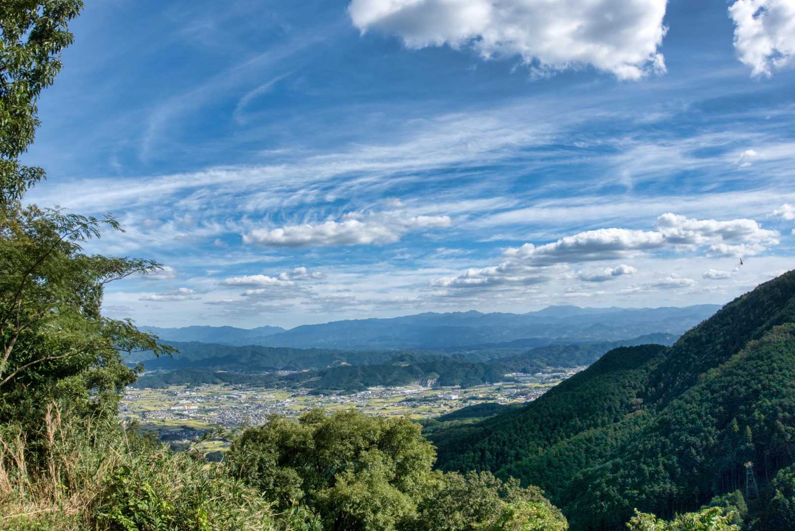 展望台から。