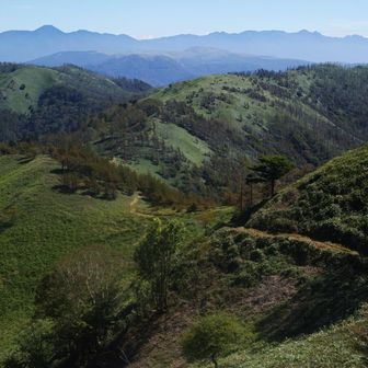 手前が前二ッ山、奥が二ッ山。遠くに八ヶ岳