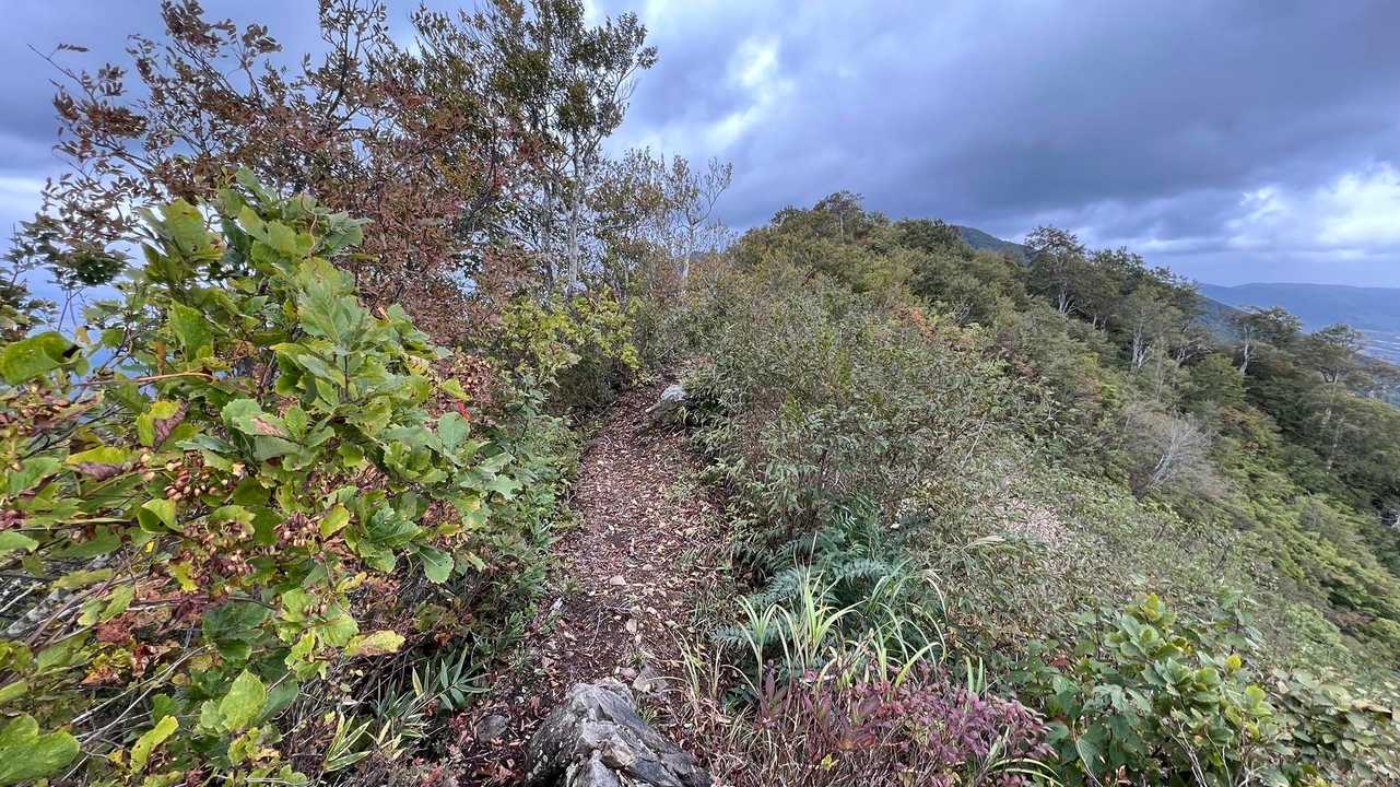 信越トレイル#3（sec.4／仏ヶ峰登山口〜鍋倉山・黒倉山〜関田峠） の写真 21