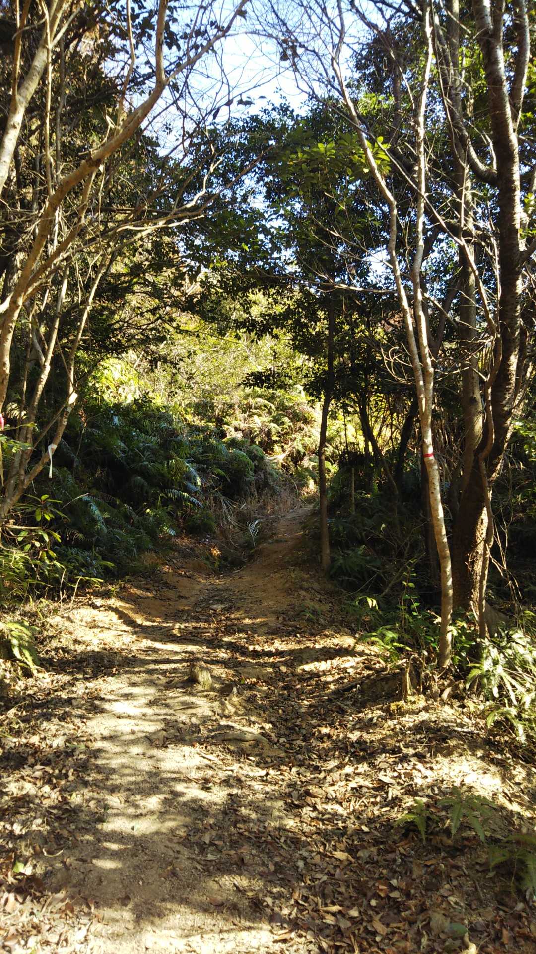 佐野山-楞厳寺山 往復コースの写真