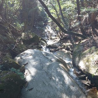 気持ちいい滝の流れ