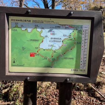 社山まで波線になってるけど大丈夫そ？