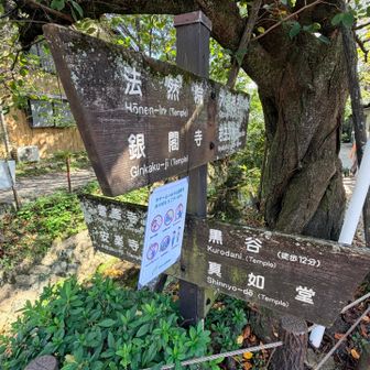 てくてく哲学の道