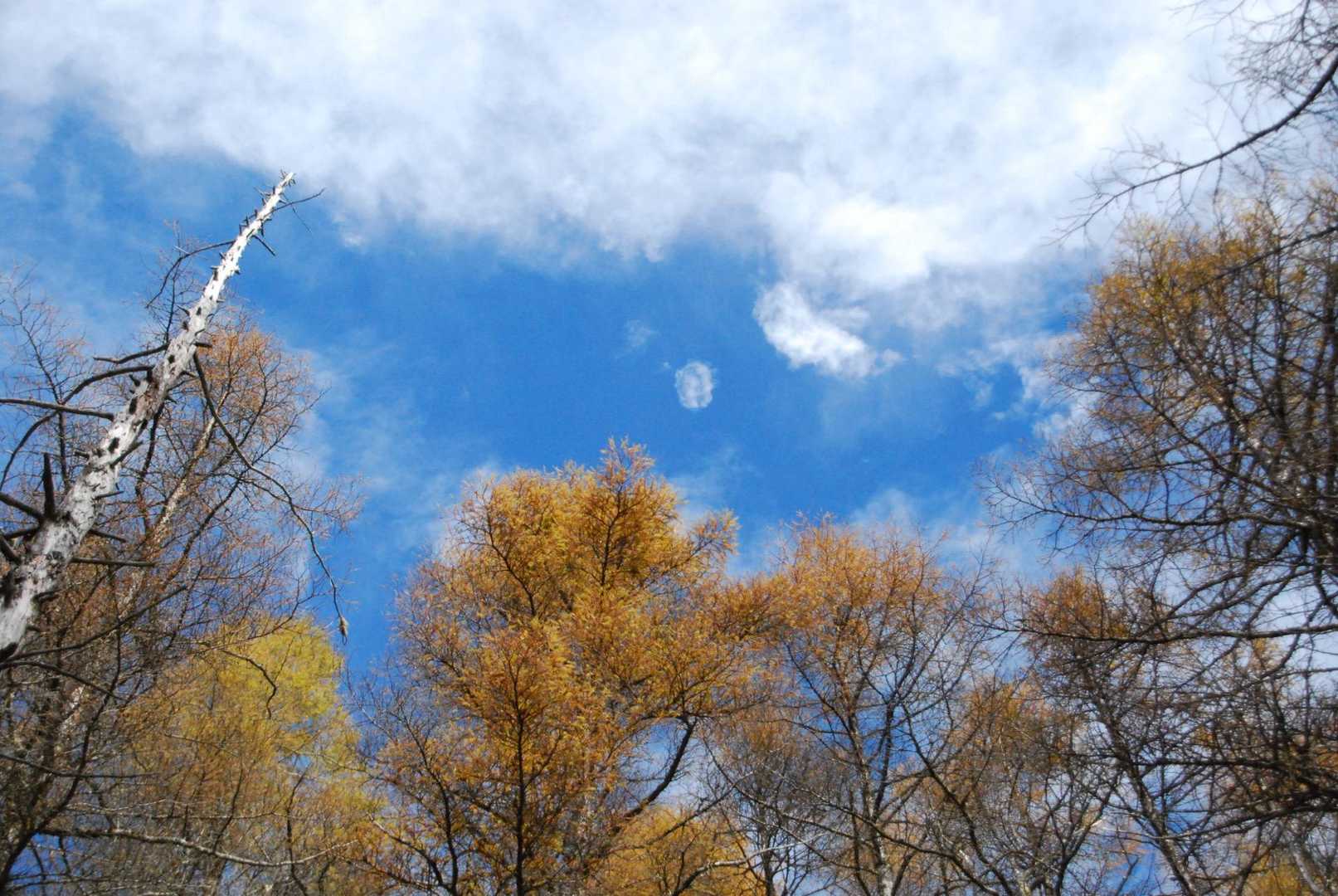 青空💙嬉しい！もっと頑張って〜🙏