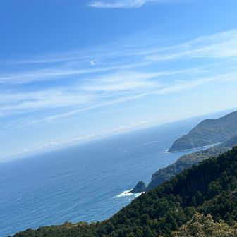 奥の入り江は先ほど行ったオハイ🌴