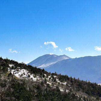 これが噂のブラウニー…