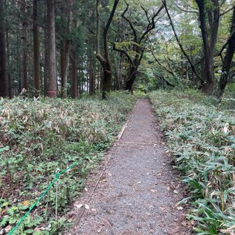 歩き易いです🚶‍♂️