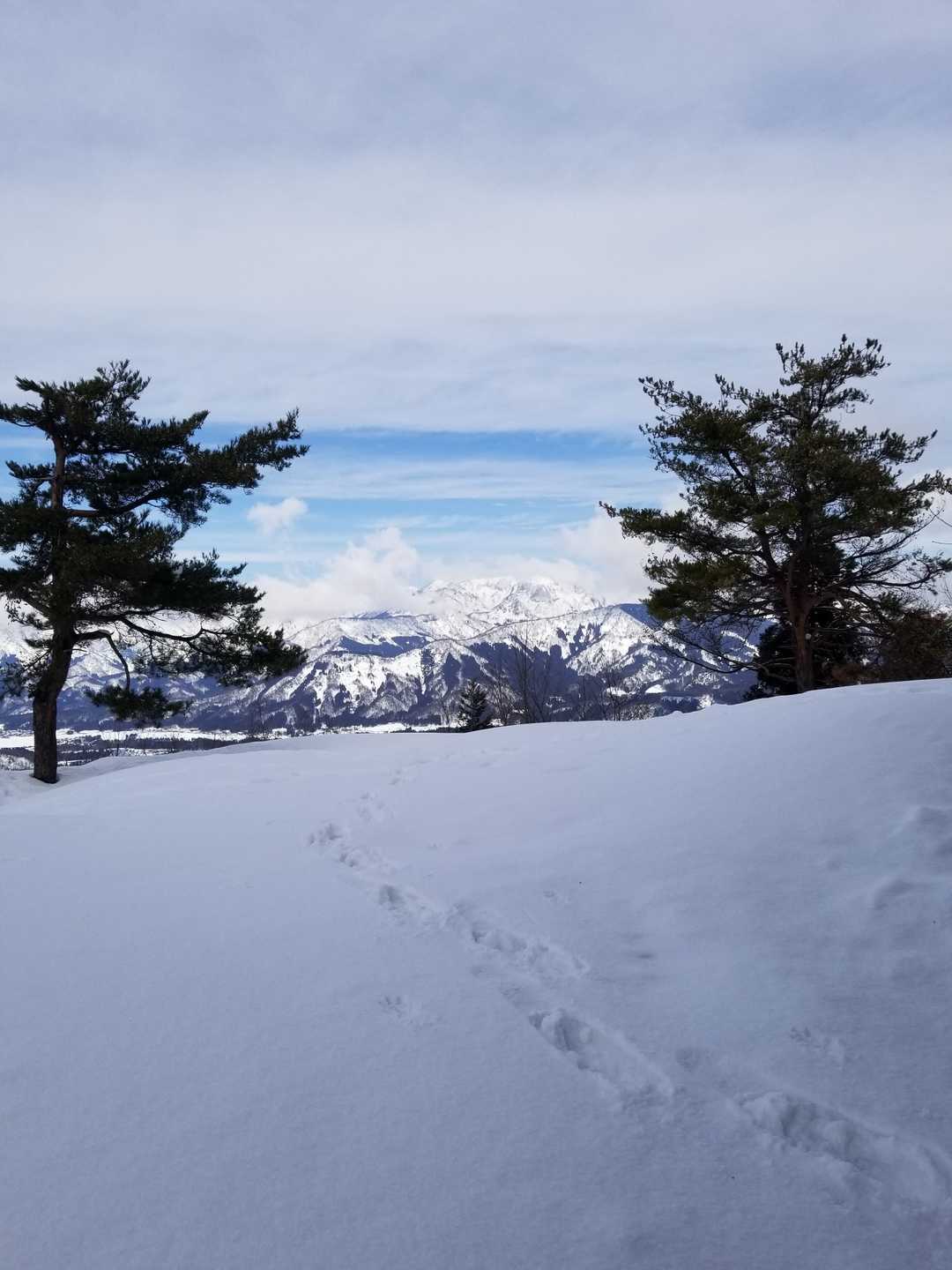 静かな山☺️