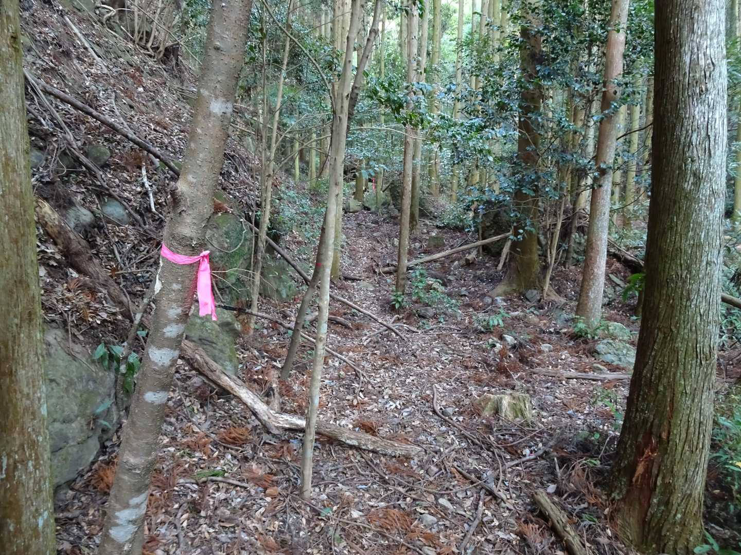 ここからが本番。