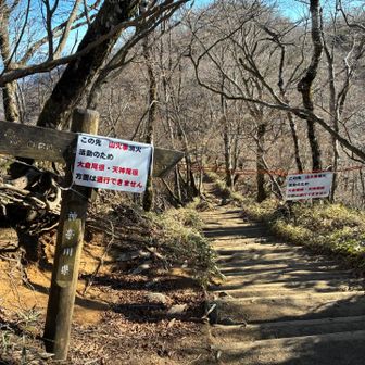 大倉尾根は通行止め。はやく収まりますように。