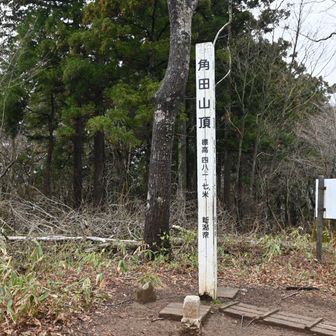 はい、登頂！！
泥んこくらいでへこたれるな！！てめぇの登山はてめぇで管理運営！！

山頂の小屋で新潟なまりが強烈な管理人さんと少しお話をしました（半分くらい解読不能）。雪割草の盗掘が後をたたないのだそう。特に赤とかピンクとか色の濃いのが減ってしまっているそうです。
てめぇの庭はてめぇで管理運営！！山の植物に茶々入れない！！15秒15秒そっちからこっちから写真撮ったら帰れってんだ！！