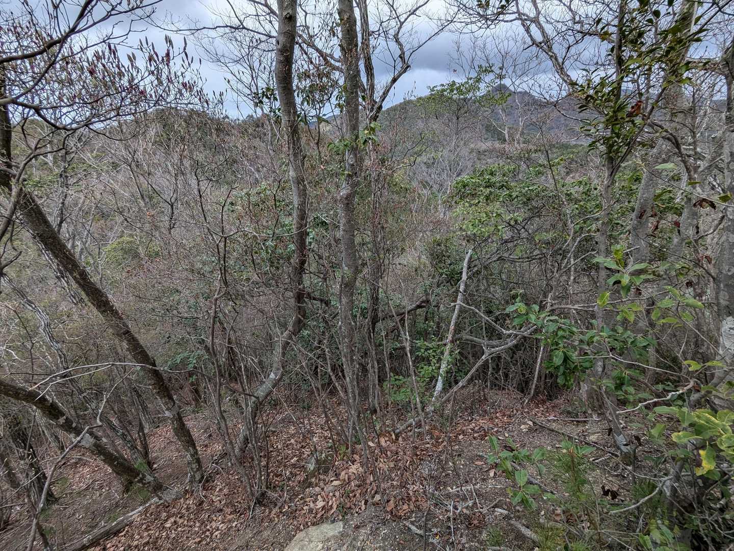 レポでは、あまり良い感想ではなかったが、なかなかどうして？ 満足したところで下山に向かう。