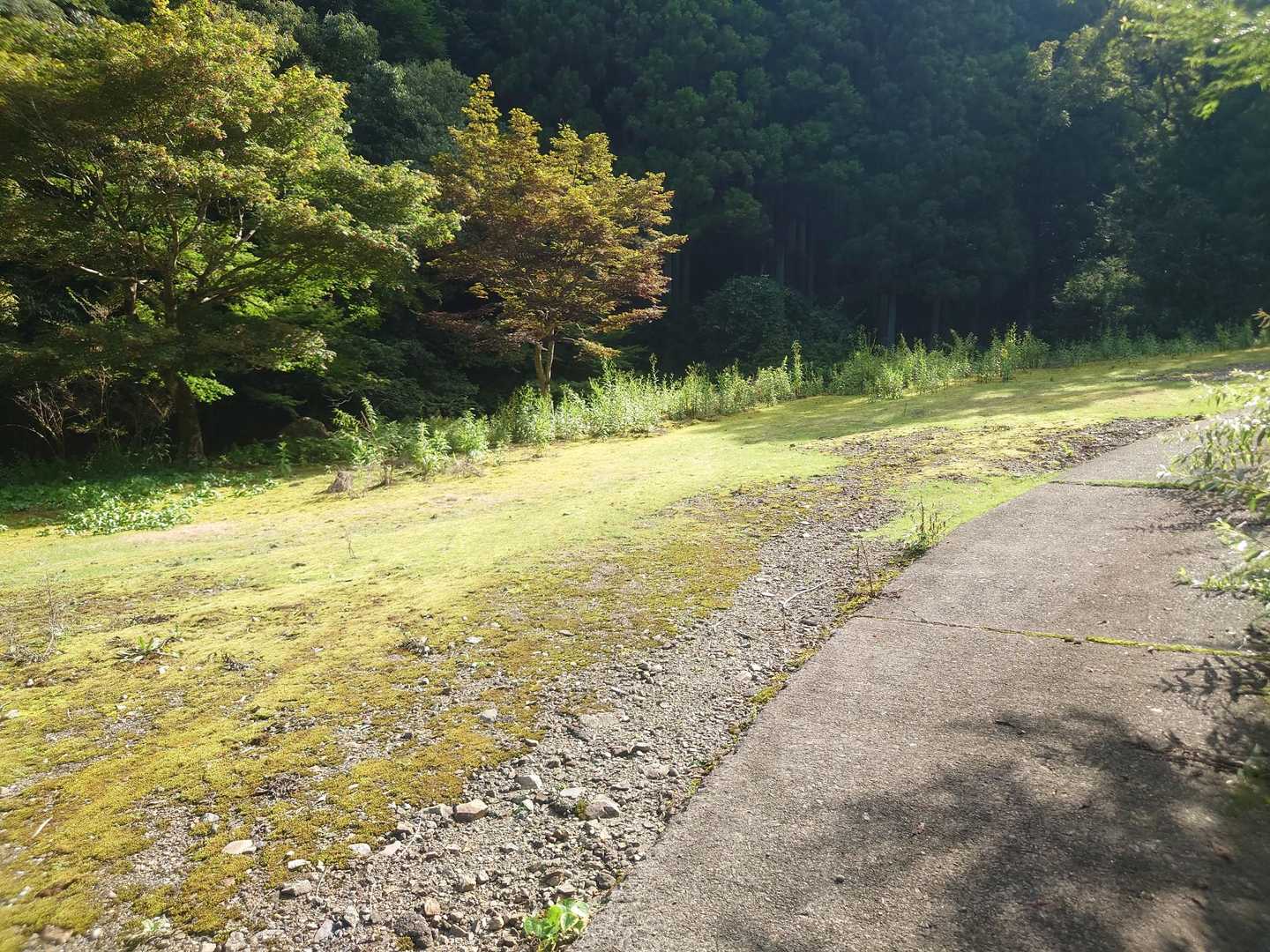 ヤマップの地図で🅿️マークがついてる場所
ここまでは多分…ジムニーとかオフロードバイクとかしか来れないかな😅