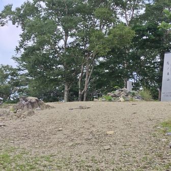 鷹ノ巣山山頂。ボッチです。