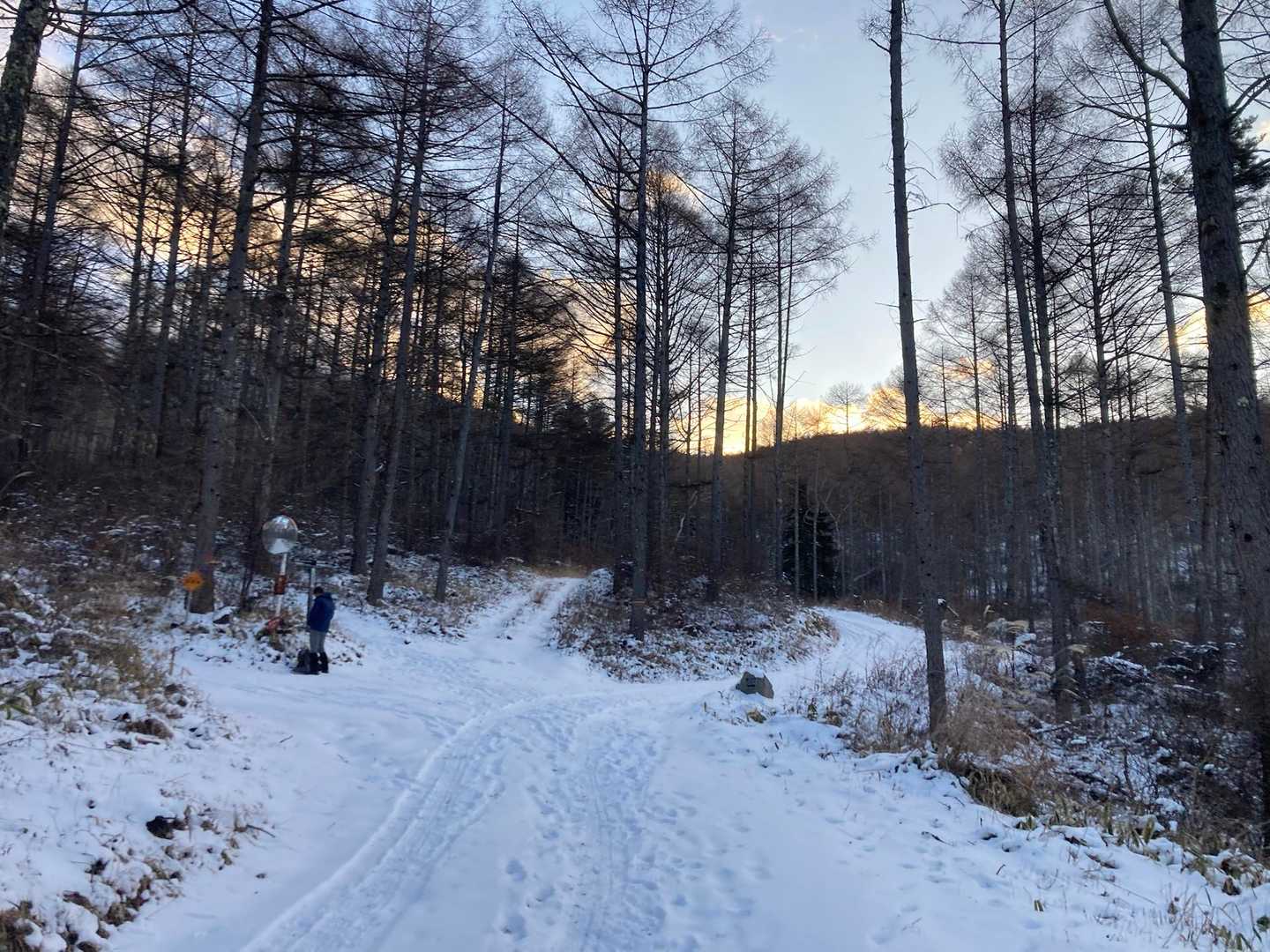 編笠山 往復コースの写真