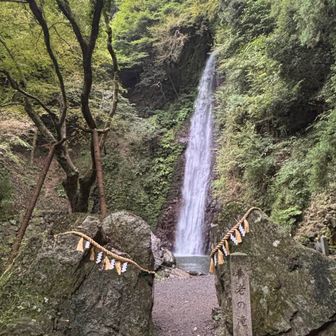 養老の滝