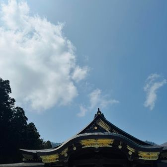 この凛とした空気感が好き💚