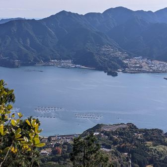 尾鷲湾　養殖用のブイの様な物が見えます