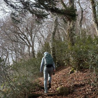 もうすぐで山頂