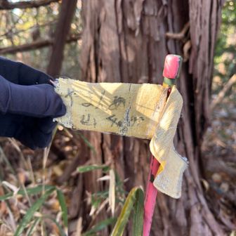 やまんめ山登頂46m