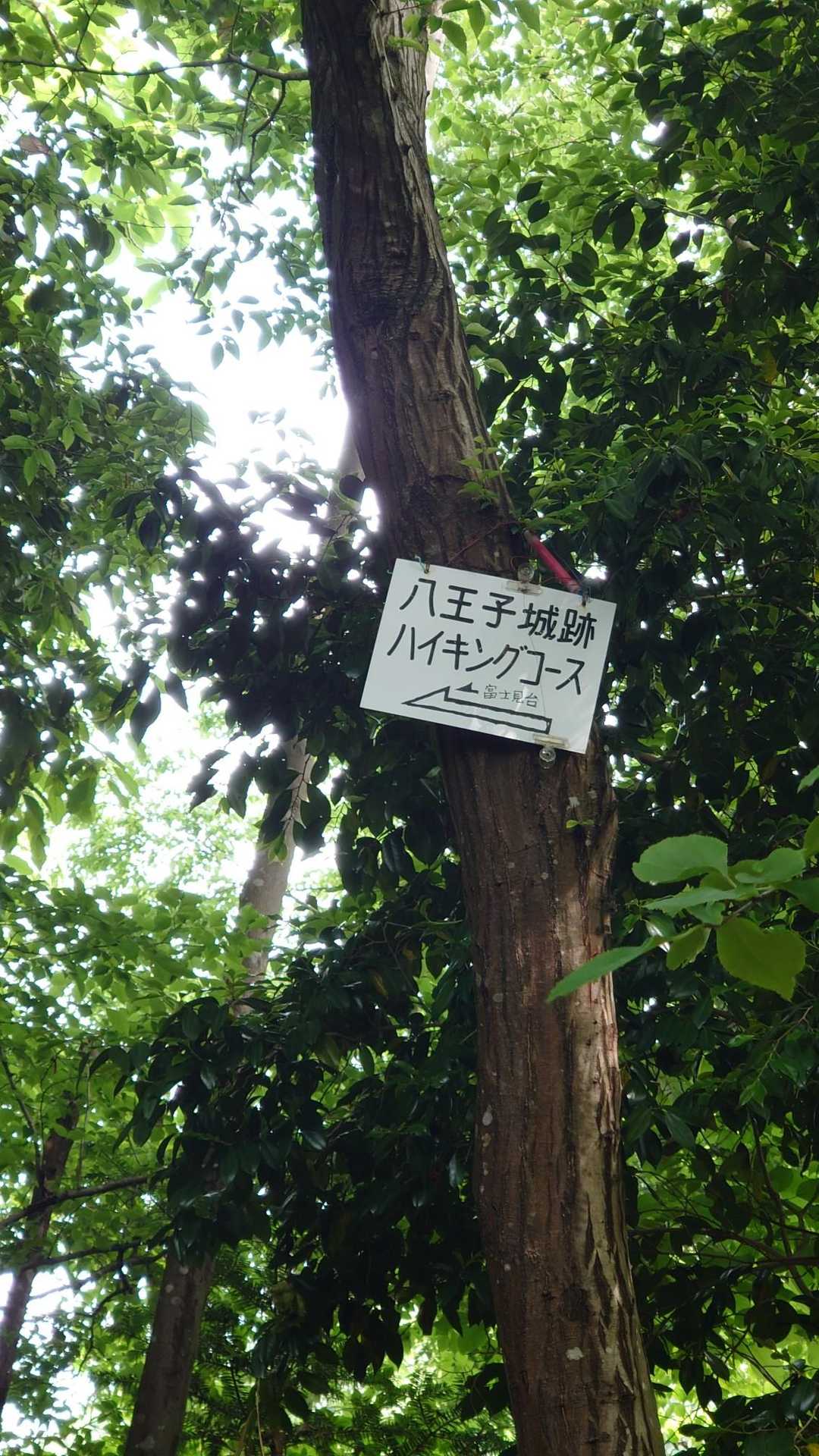 案内板の写真を撮っておきながら、道を間違える……